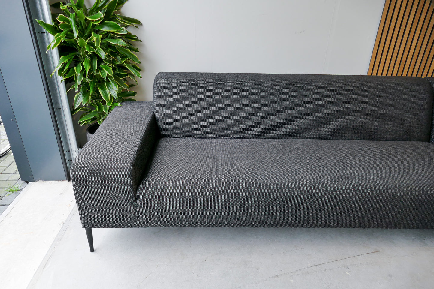 Koozo Ellen