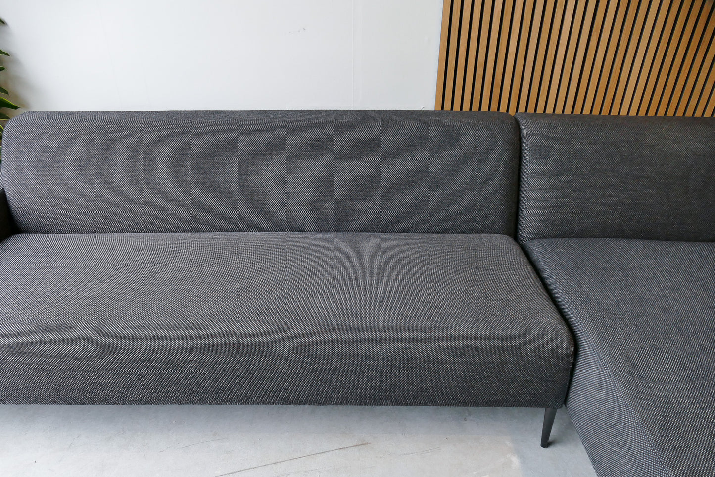 Koozo Ellen
